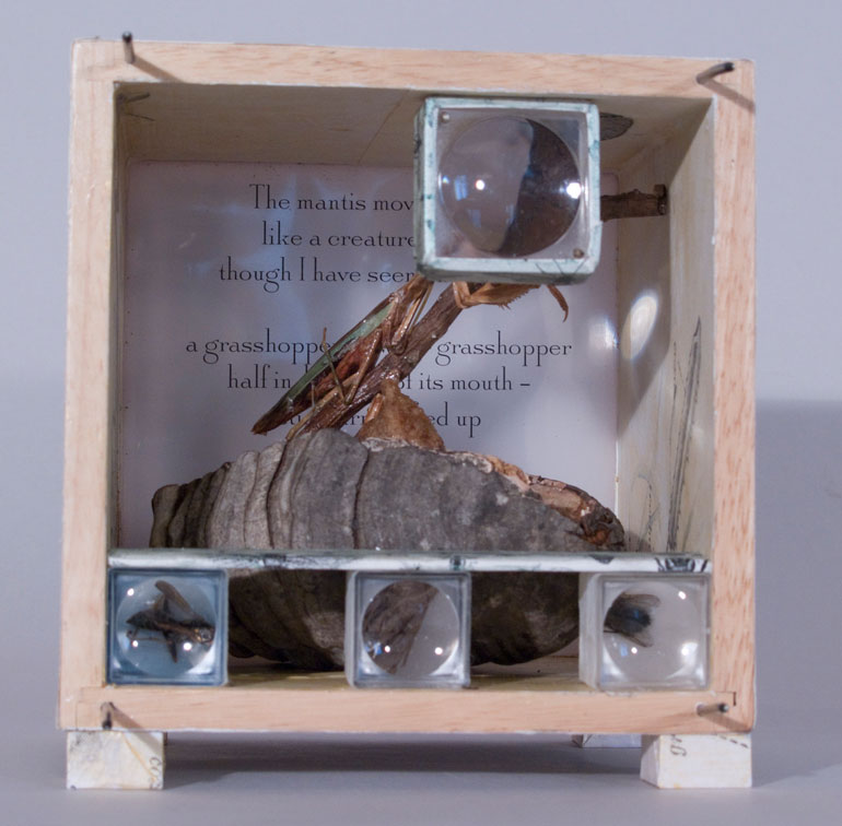 Praying Mantis Box